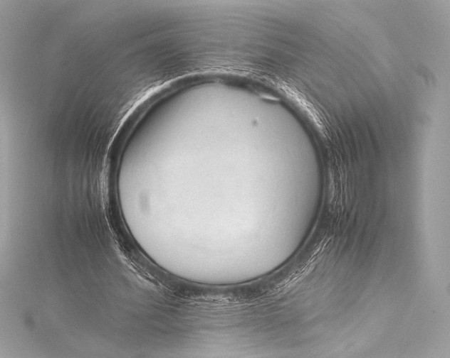 X0000115800580200912041535