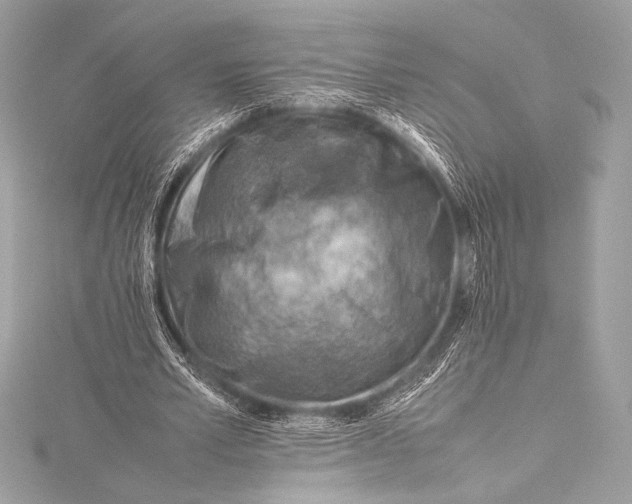 X0000115800581200912041535