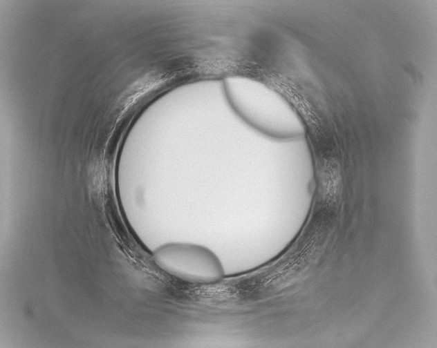 X0000115800583200912041535