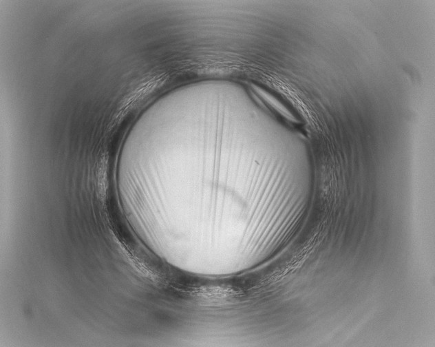 X0000115800586200912041535