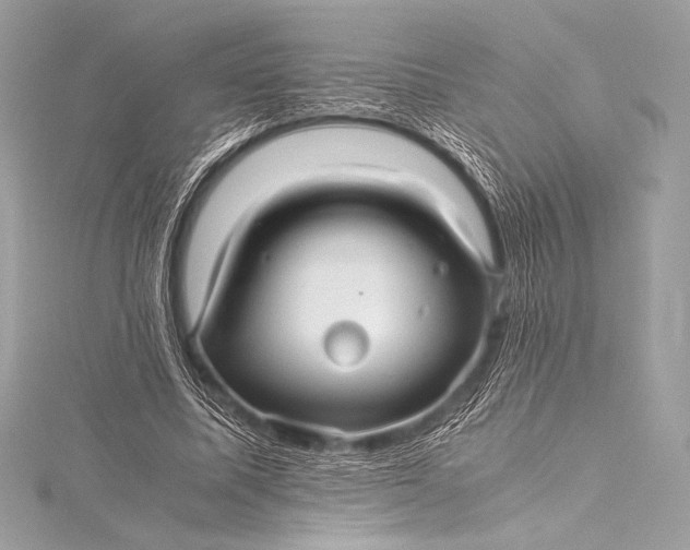 X0000115800587200912041535