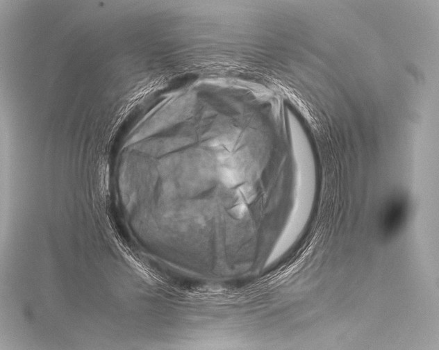 X0000115800589200912041535