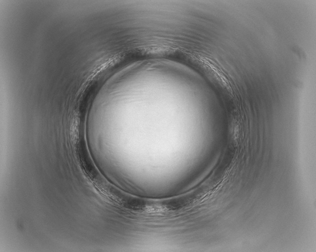 X0000115800591200912041535