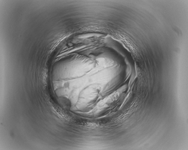 X0000115800592200912041535