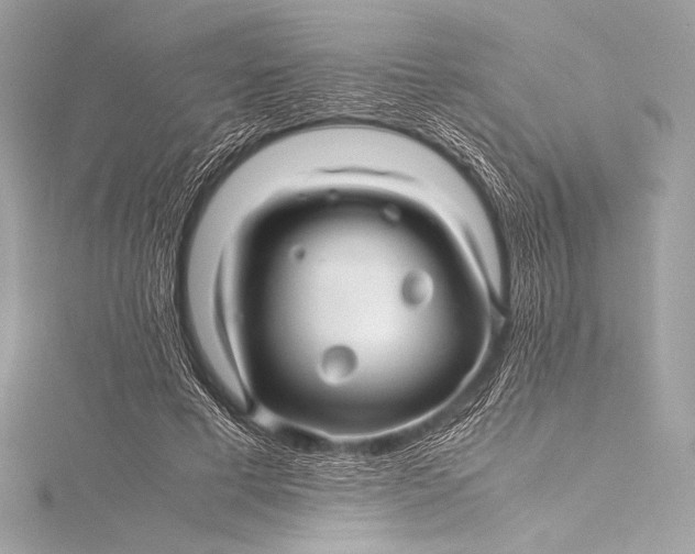 X0000115800593200912041535