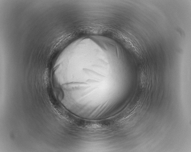 X0000115800594200912041535