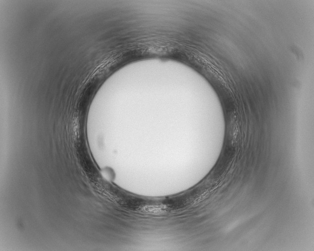 X0000115800595200912041535