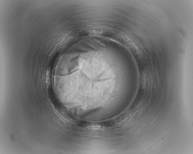 X0000115800598200912041535