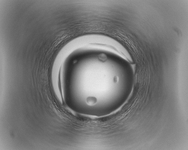 X0000115800599200912041535