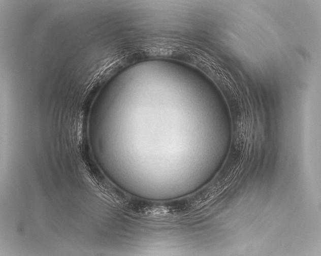 X0000115800600200912041535