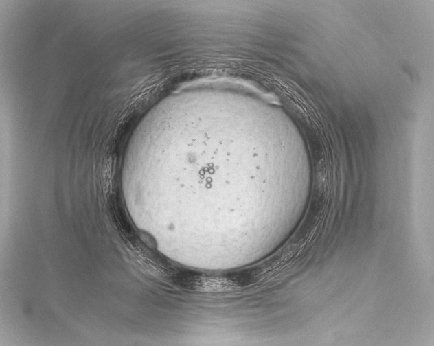 X0000115800605200912041535