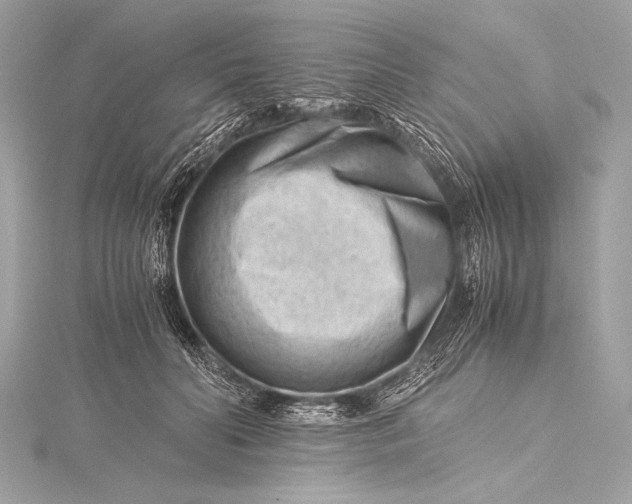 X0000115800606200912041535