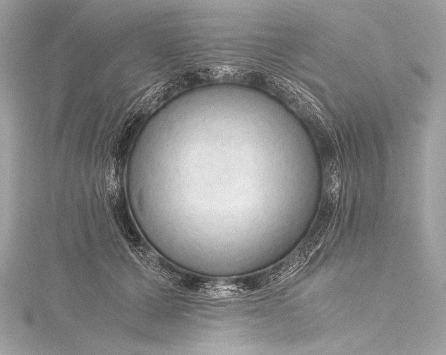 X0000115800607200912041535