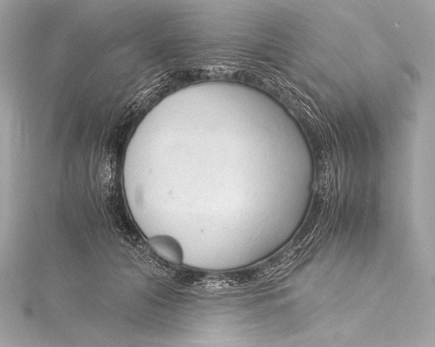 X0000115800608200912041535