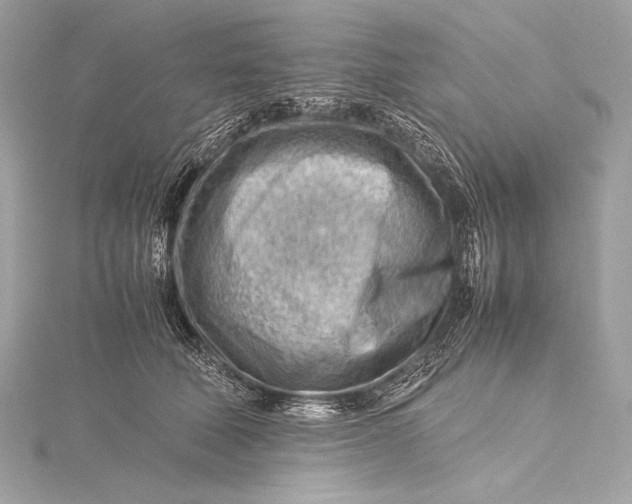 X0000115800610200912041535