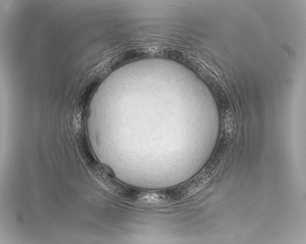 X0000115800611200912041535