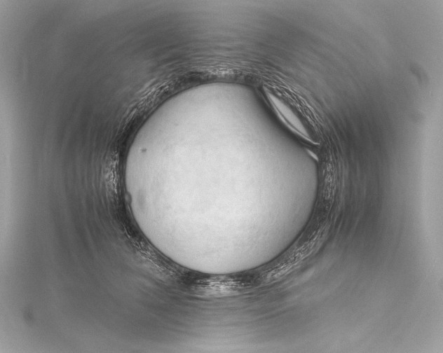 X0000115800612200912041535