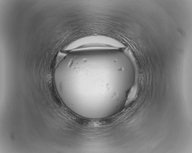 X0000115800613200912041535