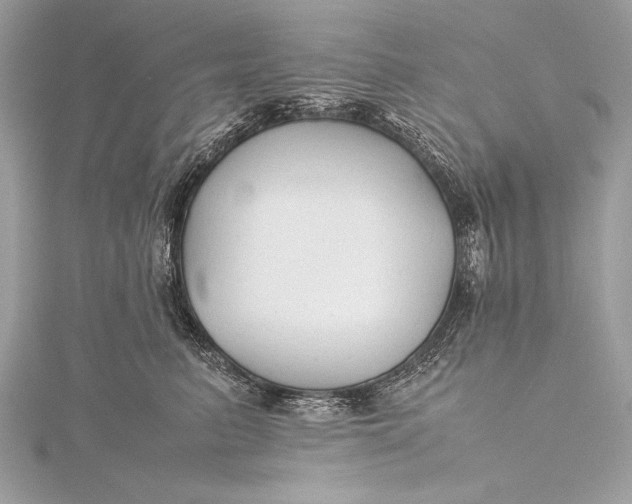 X0000115800615200912041535