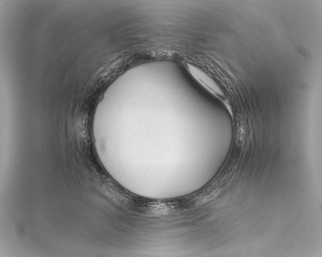 X0000115800616200912041535