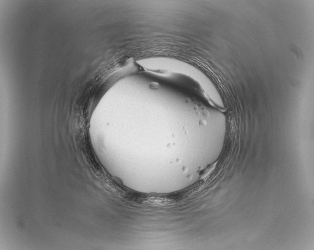 X0000115800617200912041535