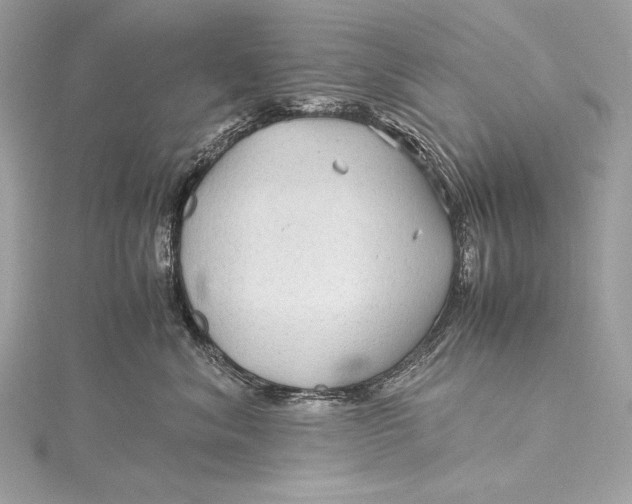 X0000115800620200912041535