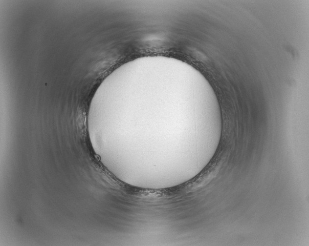 X0000115800624200912041535