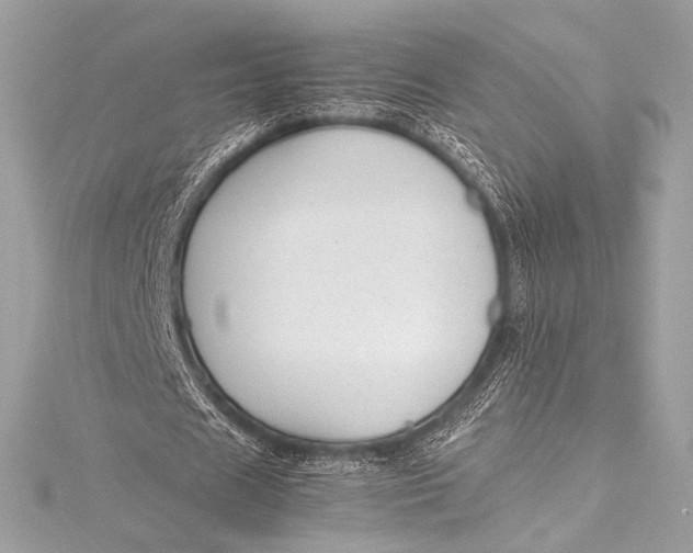 X0000115800625200912041534