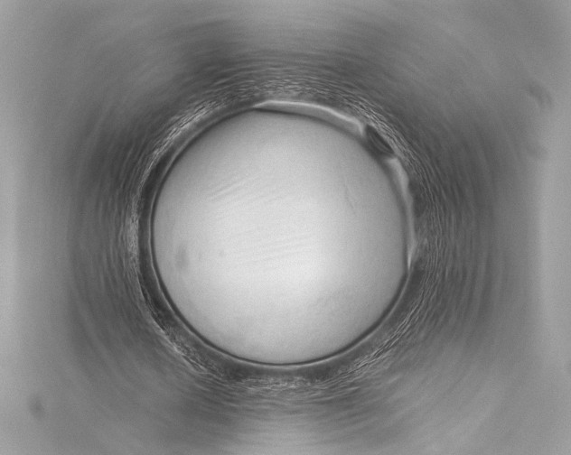 X0000115800626200912041534