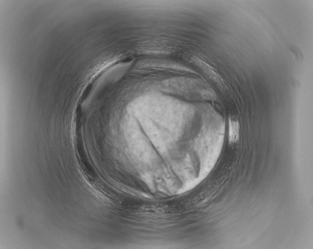 X0000115800627200912041534