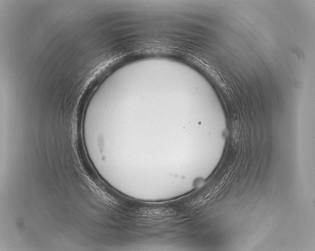 X0000115800629200912041534