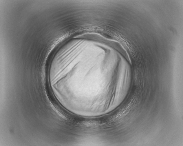 X0000115800630200912041534