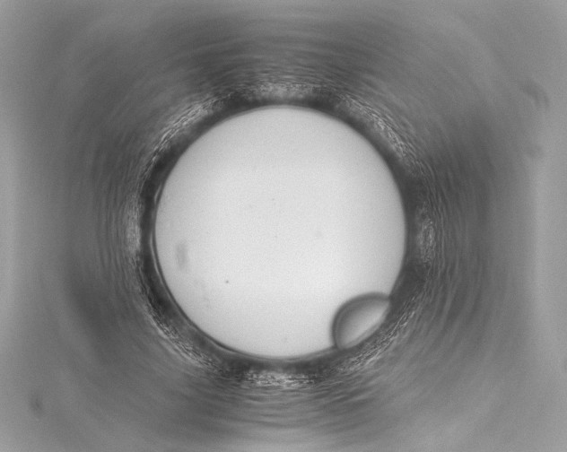 X0000115800635200912041534