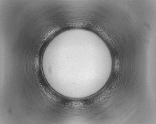 X0000115800636200912041534