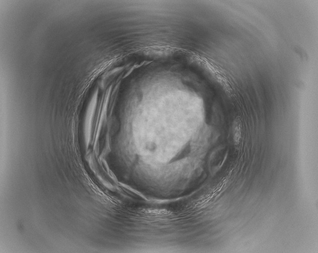 X0000115800637200912041534