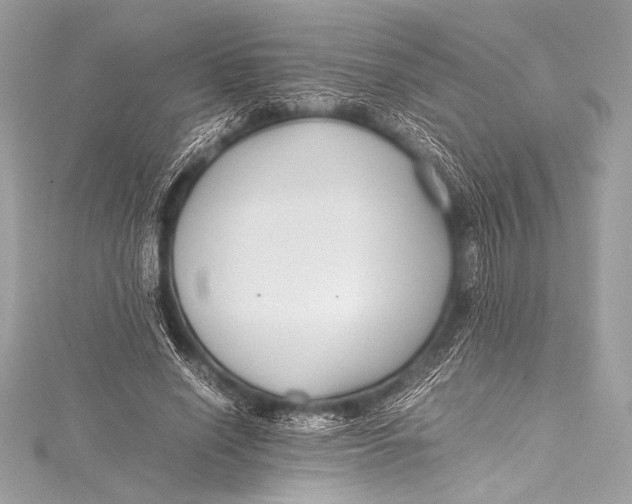 X0000115800638200912041534