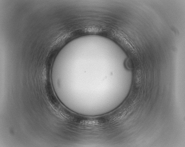 X0000115800639200912041534