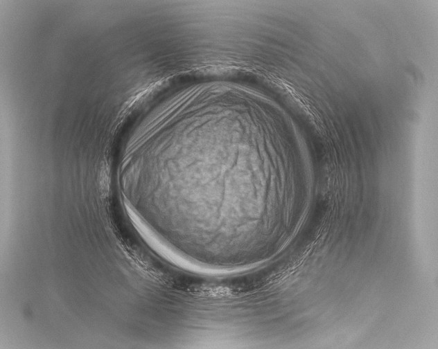 X0000115800640200912041534