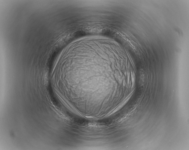 X0000115800641200912041534