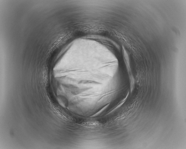 X0000115800642200912041534