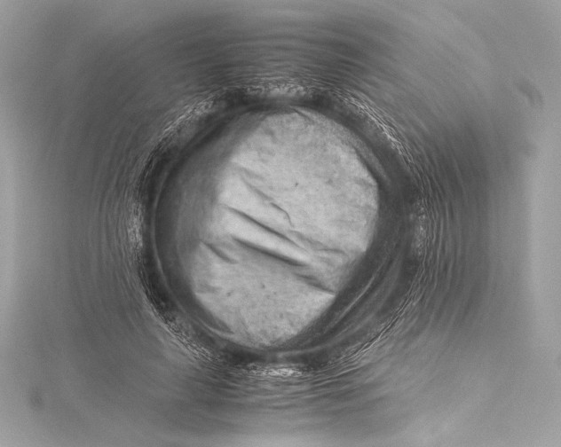 X0000115800643200912041534