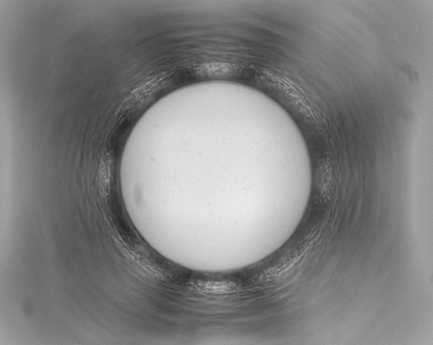 X0000115800645200912041534