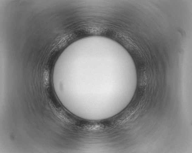 X0000115800646200912041534