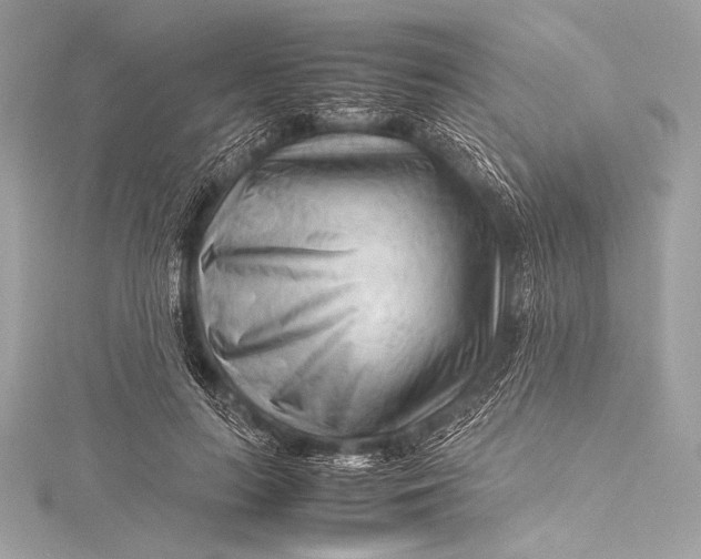 X0000115800647200912041534