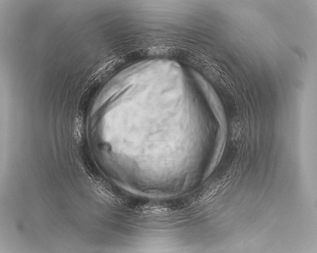 X0000115800648200912041534