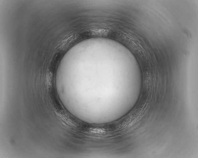 X0000115800649200912041534