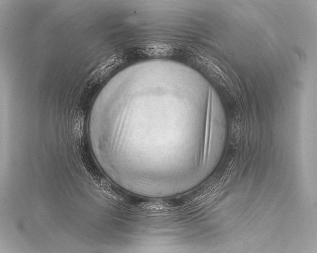 X0000115800652200912041534