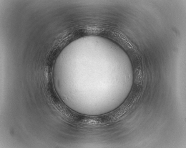 X0000115800655200912041535