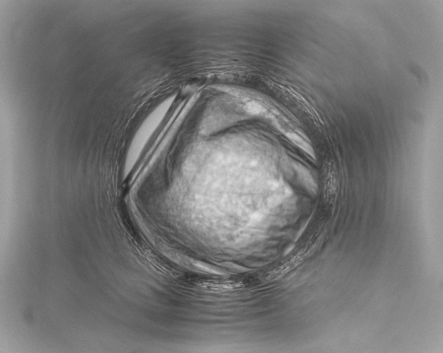 X0000115800661200912041535