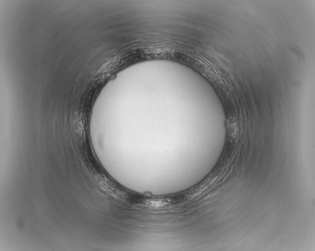 X0000115800662200912041535